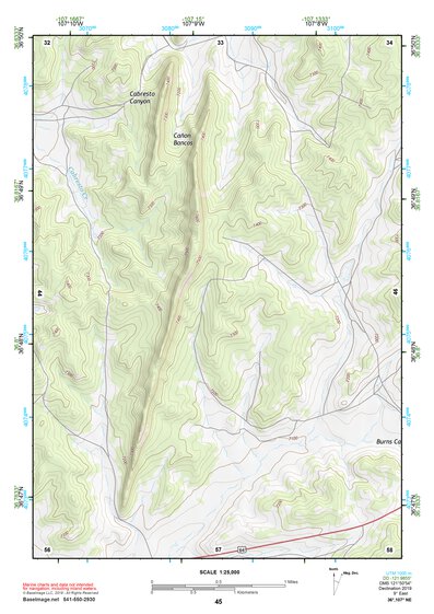 36107NE Page 45 Navajo Reservoir Topo Preview 1