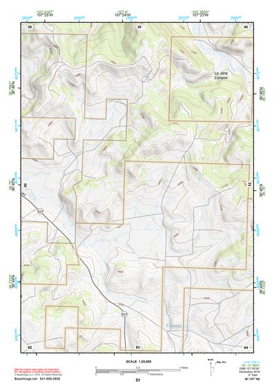 36107NE Page 51 Navajo Reservoir Topo Preview 1