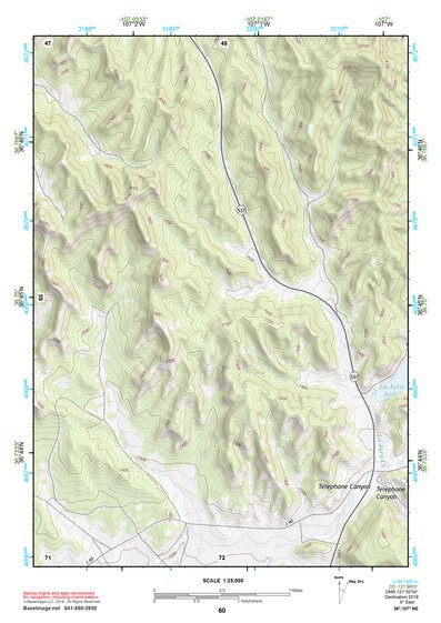 36107NE Page 60 Navajo Reservoir Topo Preview 1