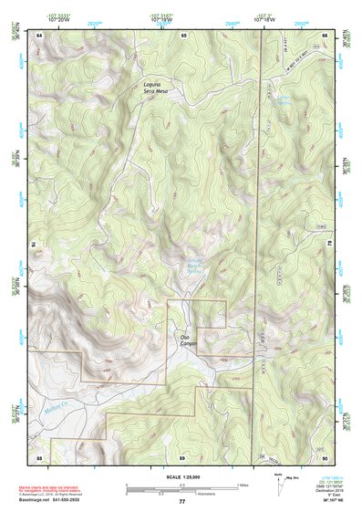 36107NE Page 77 Navajo Reservoir Topo Preview 1