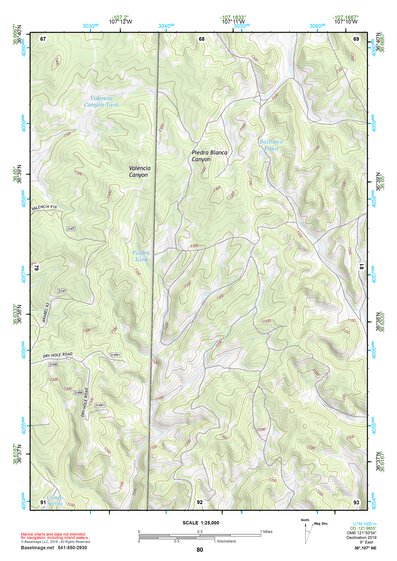 36107NE Page 80 Navajo Reservoir Topo Preview 1