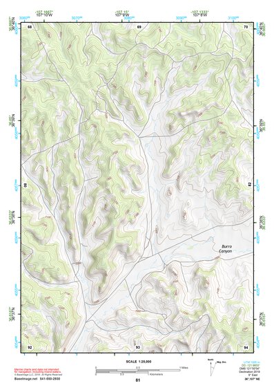 36107NE Page 81 Navajo Reservoir Topo Preview 1