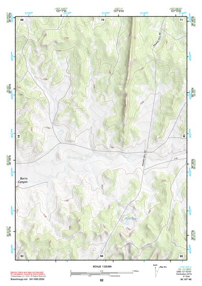 36107NE Page 82 Navajo Reservoir Topo Preview 1