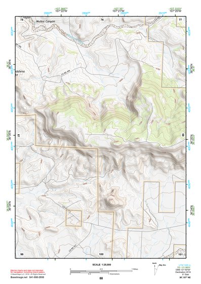 36107NE Page 88 Navajo Reservoir Topo Preview 1