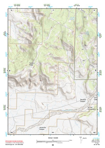 36107NE Page 89 Navajo Reservoir Topo Preview 1