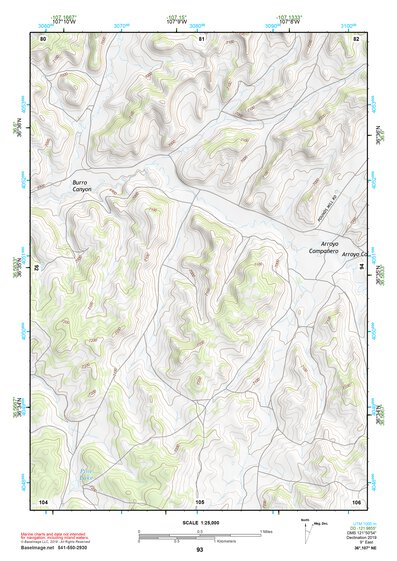 36107NE Page 93 Navajo Reservoir Topo Preview 1