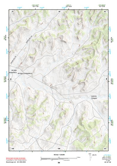 36107NE Page 94 Navajo Reservoir Topo Preview 1
