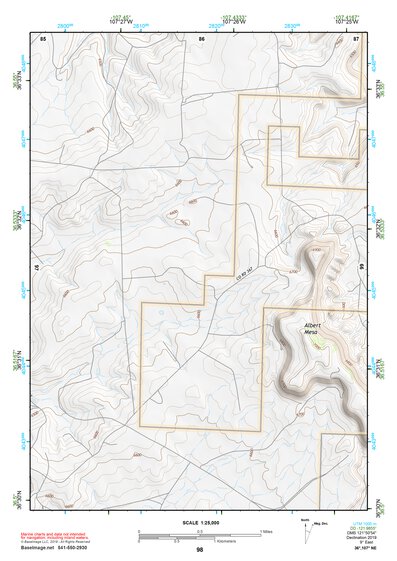 36107NE Page 98 Navajo Reservoir Topo Preview 1