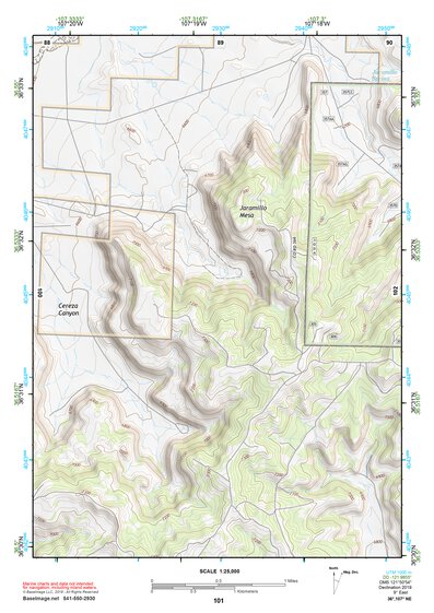 36107NE Page 101 Navajo Reservoir Topo Preview 1