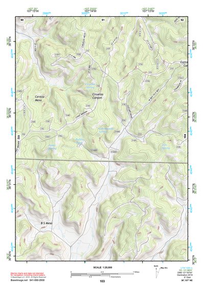 36107NE Page 103 Navajo Reservoir Topo Preview 1