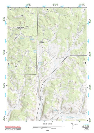 36107NE Page 104 Navajo Reservoir Topo Preview 1