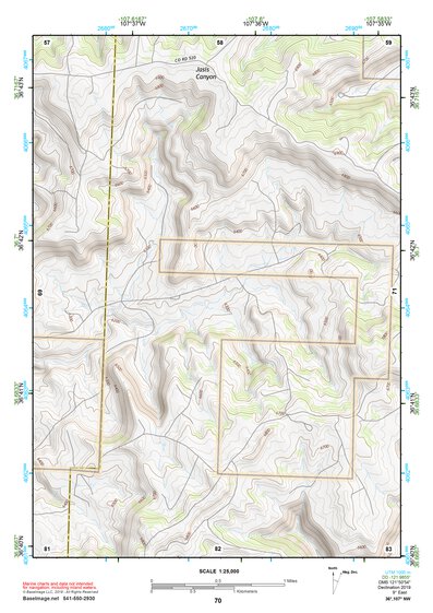 36107NW Page 70 Navajo Reservoir Topo Preview 1