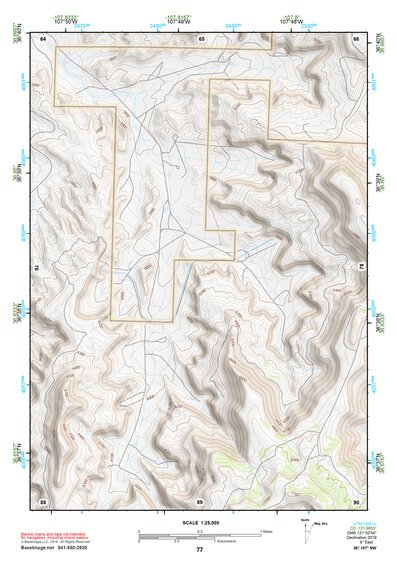 36107NW Page 77 Navajo Reservoir Topo Preview 1