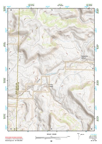 36107NW Page 82 Navajo Reservoir Topo Preview 1