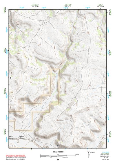 36107NW Page 84 Navajo Reservoir Topo Preview 1