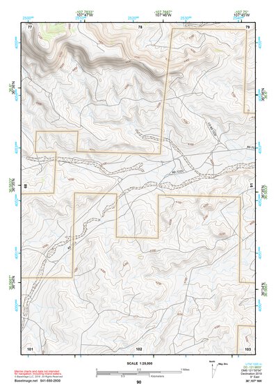36107NW Page 90 Navajo Reservoir Topo Preview 1