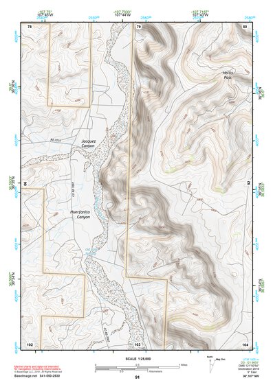 36107NW Page 91 Navajo Reservoir Topo Preview 1