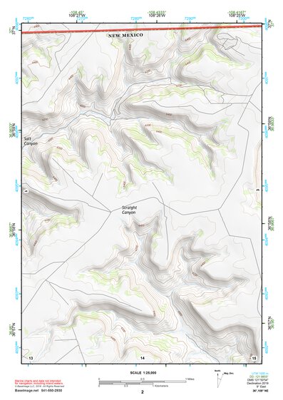 36108NE Page 2 Farmington Topo Preview 1