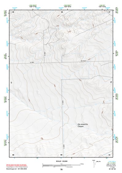 36108NE Page 78 Farmington Topo Preview 1