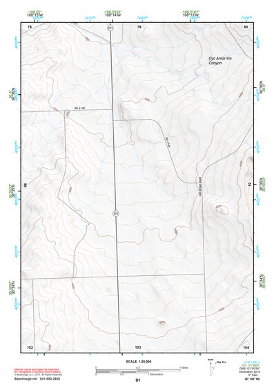 36108NE Page 91 Farmington Topo Preview 1