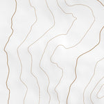 36108NE Page 95 Farmington Topo Preview 2