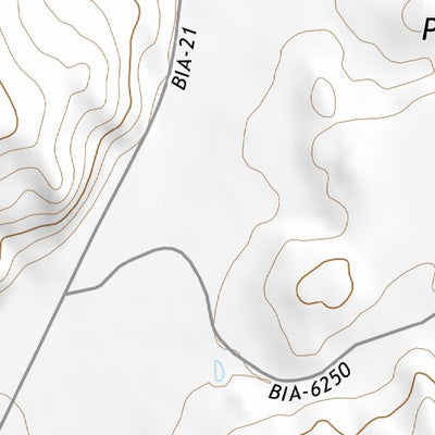 36110SW Page 38 Pinon Topo Preview 2