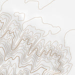 36110SW Page 87 Pinon Topo Preview 2