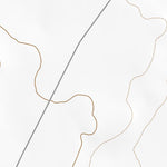 36111NE Page 106 Glen Canyon Dam Topo Preview 2