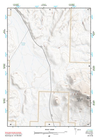 36113NE Page 87 Littlefield Topo Preview 1