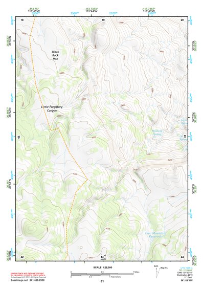 36113NW Page 31 Littlefield Topo Preview 1