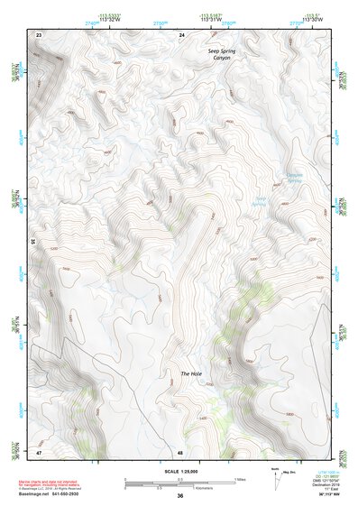 36113NW Page 36 Littlefield Topo Preview 1