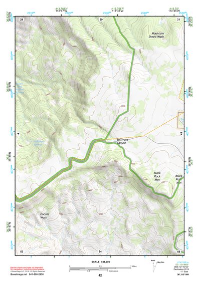 36113NW Page 42 Littlefield Topo Preview 1