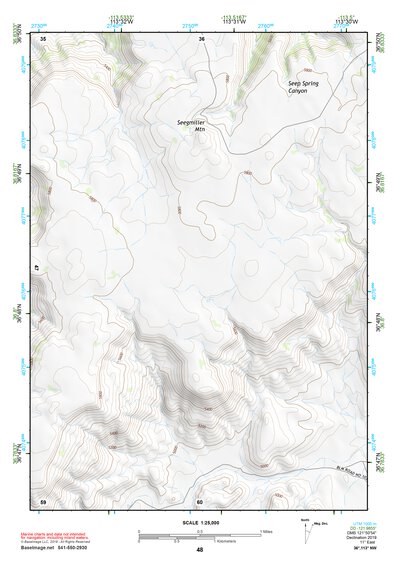 36113NW Page 48 Littlefield Topo Preview 1