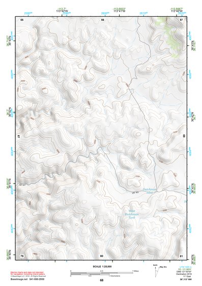 36113NW Page 68 Littlefield Topo Preview 1
