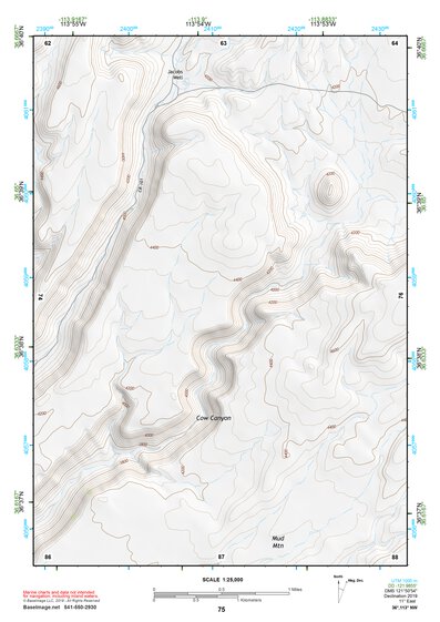 36113NW Page 75 Littlefield Topo Preview 1