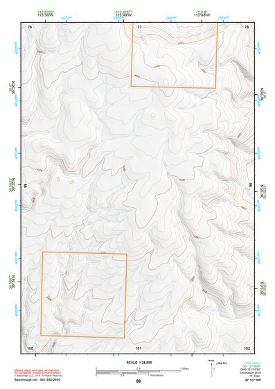 36113NW Page 89 Littlefield Topo Preview 1