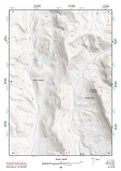 36113NW Page 90 Littlefield Topo Preview 1