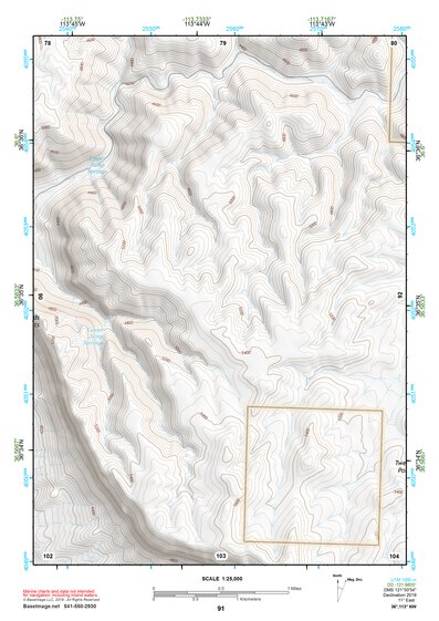 36113NW Page 91 Littlefield Topo Preview 1