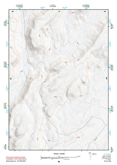 36113NW Page 99 Littlefield Topo Preview 1