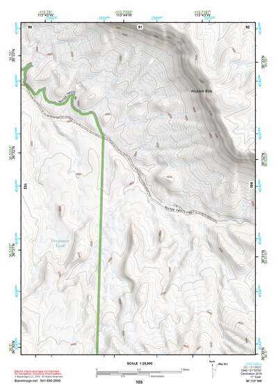 36113NW Page 103 Littlefield Topo Preview 1