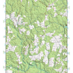 (37077a1) Page 084 Petersburg Preview 1