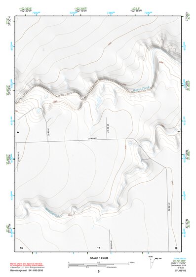 37102SE Page 5 Springfield Topo Preview 1