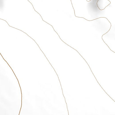 37102SE Page 59 Springfield Topo Preview 2