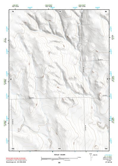 37102SE Page 91 Springfield Topo Preview 1