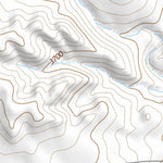 37102SE Page 92 Springfield Topo Preview 2