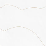 37102SE Page 107 Springfield Topo Preview 2