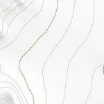 37104SE Page 95 Trinidad Topo Preview 2