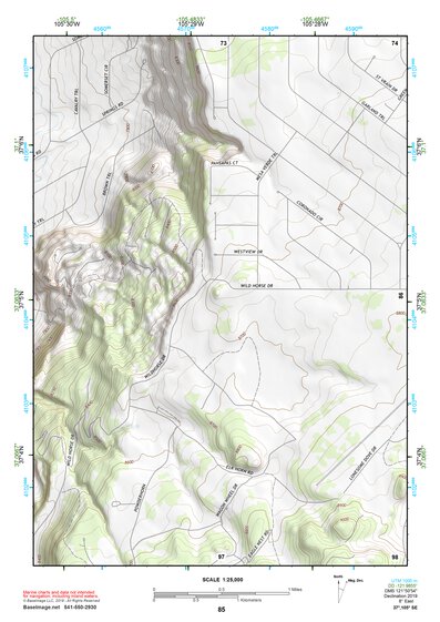 37105SE Page 85 Alamosa Topo Preview 1