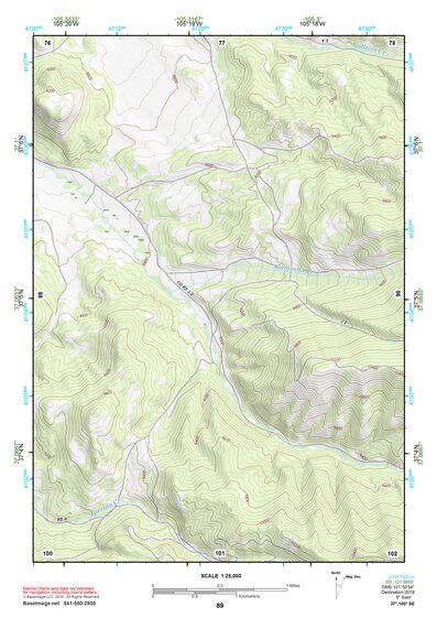 37105SE Page 89 Alamosa Topo Preview 1