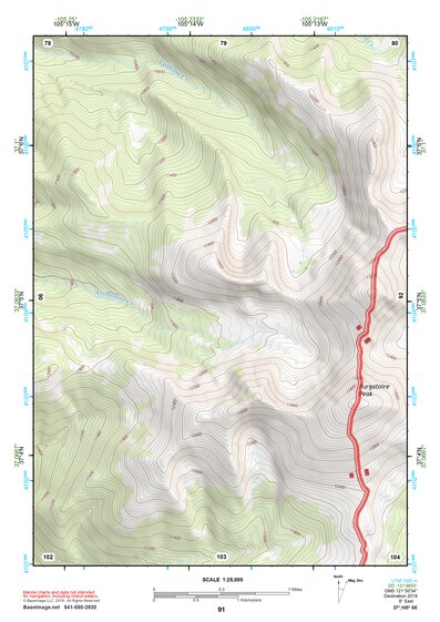 37105SE Page 91 Alamosa Topo Preview 1